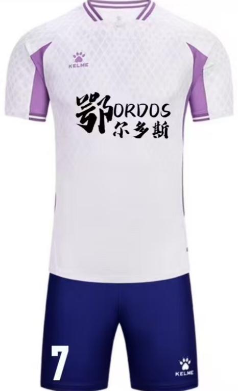 家车的观众, https