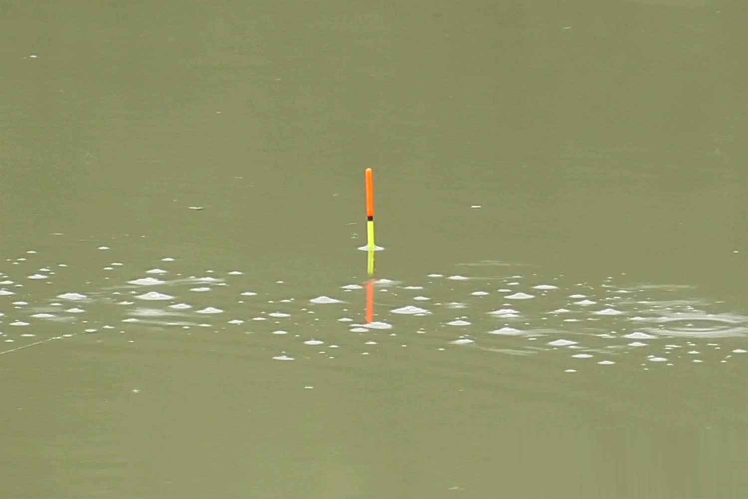 就是开竿打, 黑坑正钓的, amp