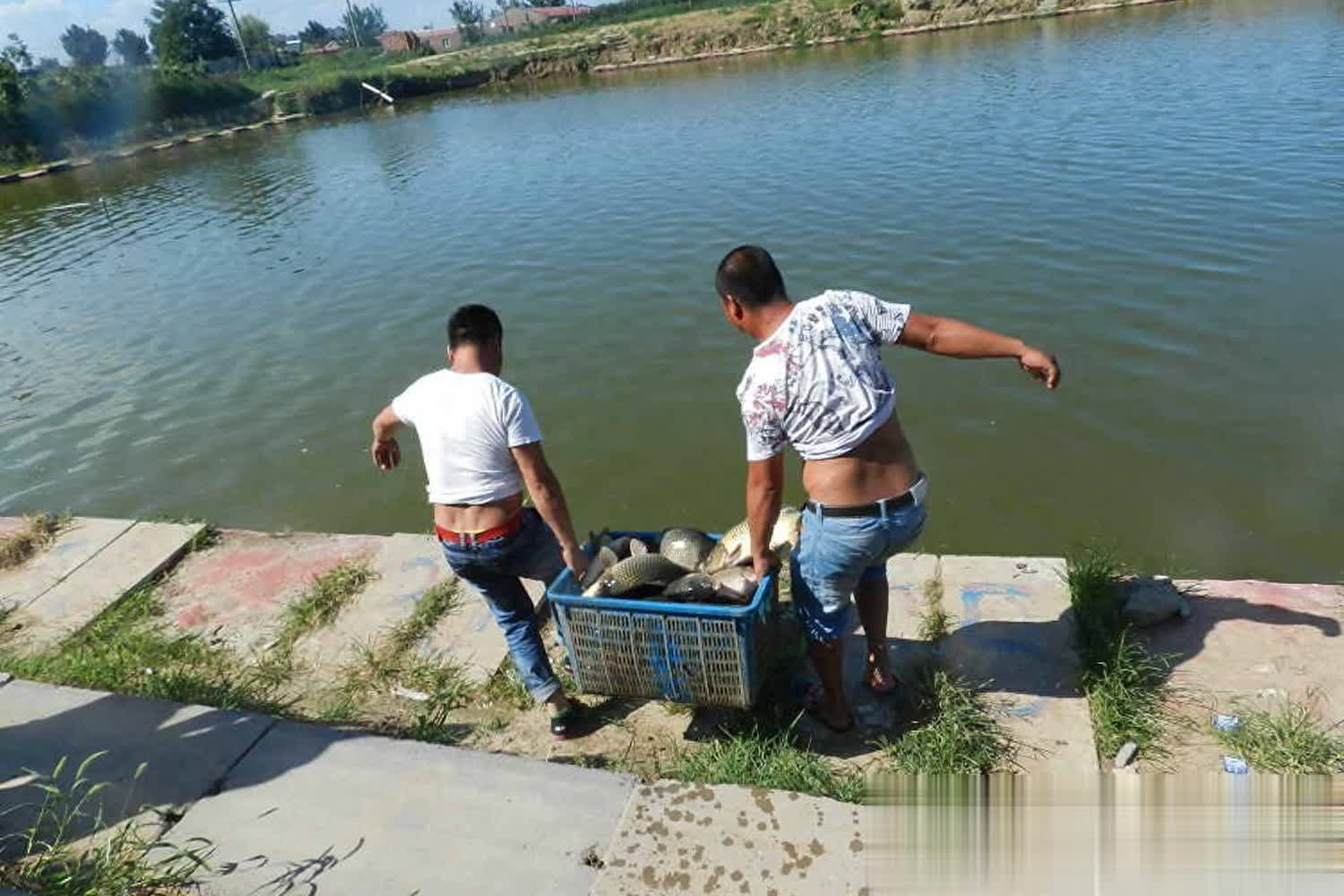 鱼多巴和鱼, 的特征